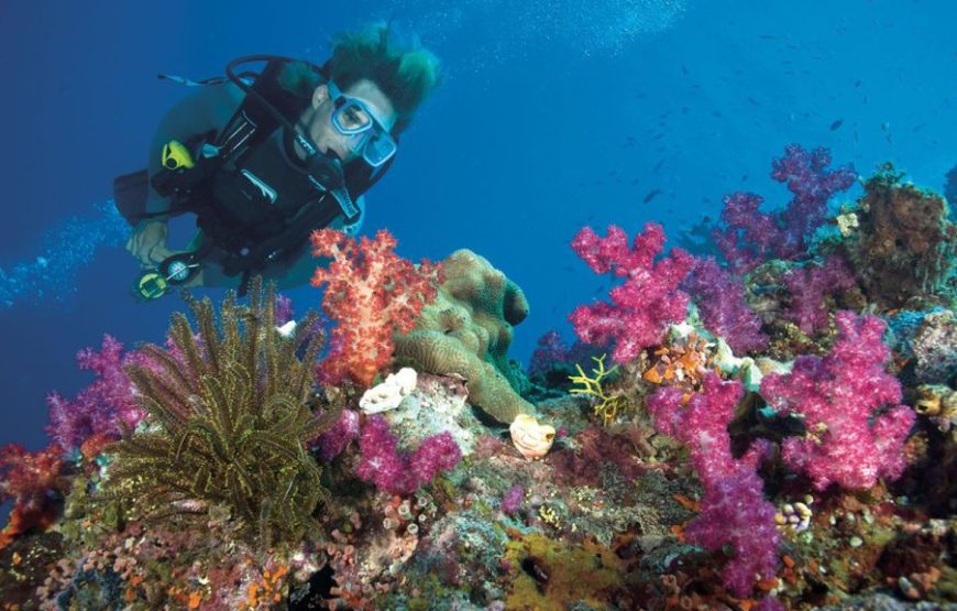 Sharm El Luli – Qulaan – El Nayzak