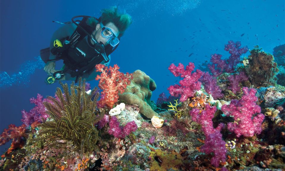 Sharm El Luli – Qulaan – El Nayzak