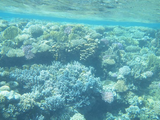 Sharm El Luli – Qulaan – El Nayzak