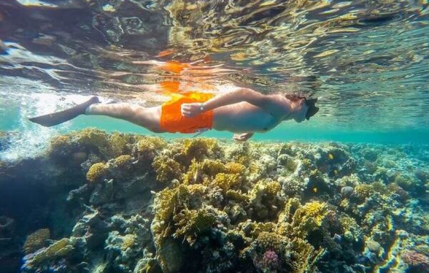 Snorkeling Trip