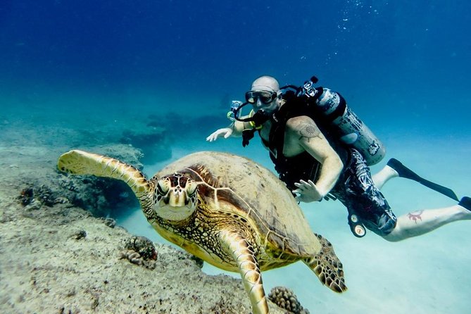 Diving Package