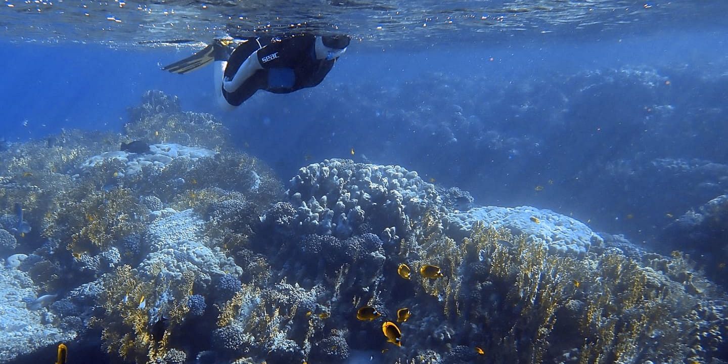 Diving Package